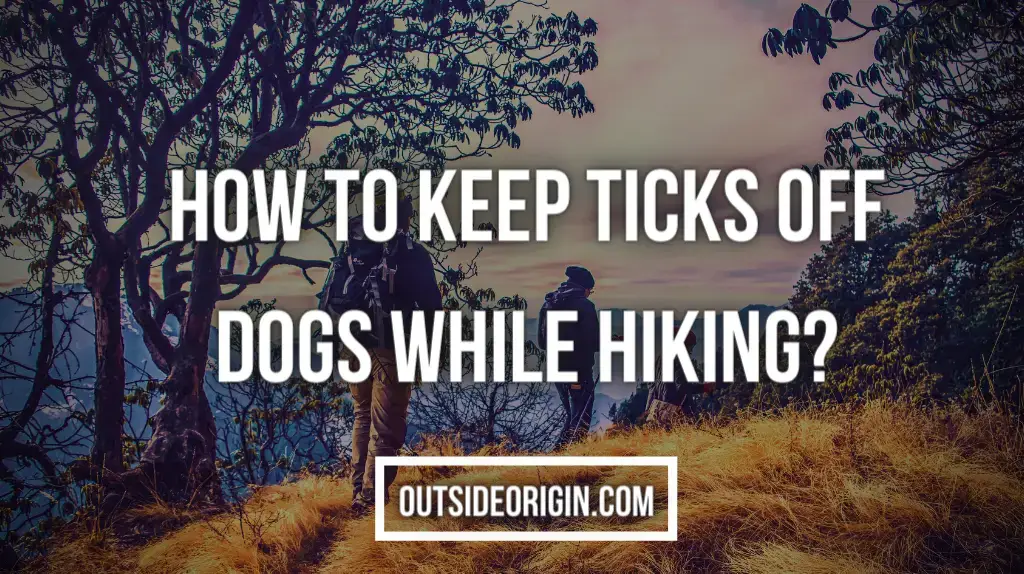 How To Keep Ticks Off Dogs While Hiking