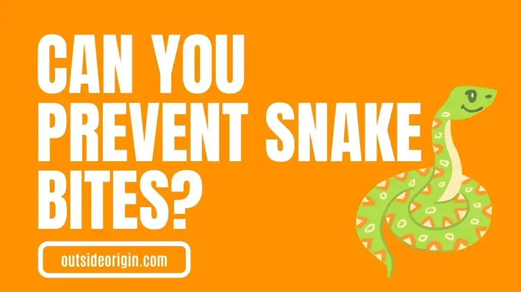 Can You Prevent Snake Bites While Hiking