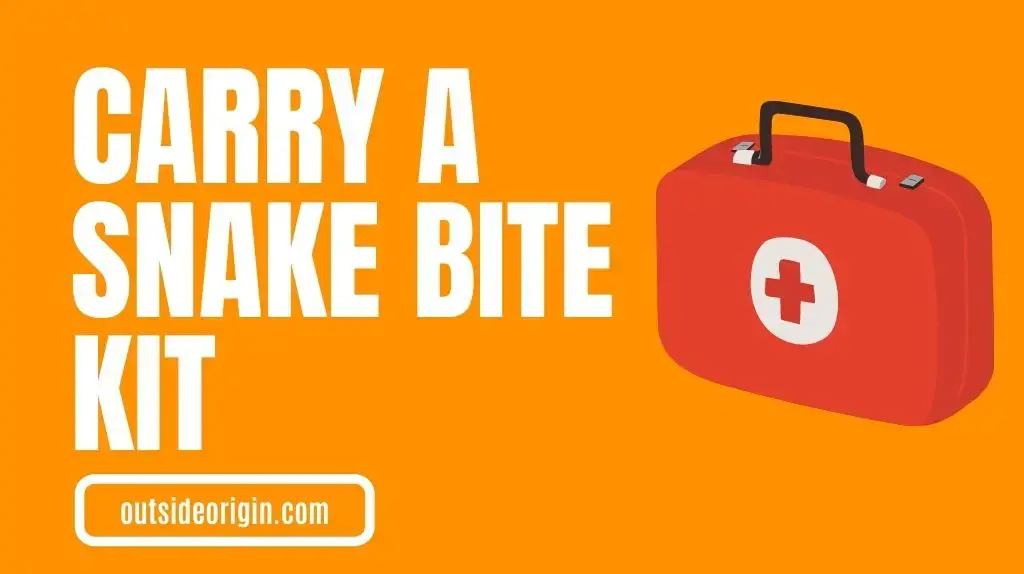 Carry a Snake Bite Or First Aid Kit