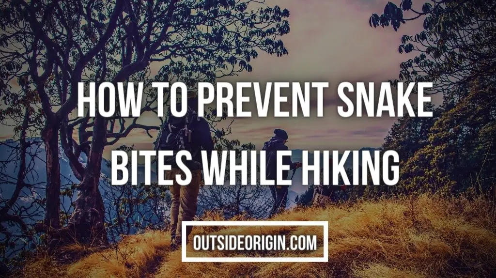 How to Prevent Snake Bites while Hiking