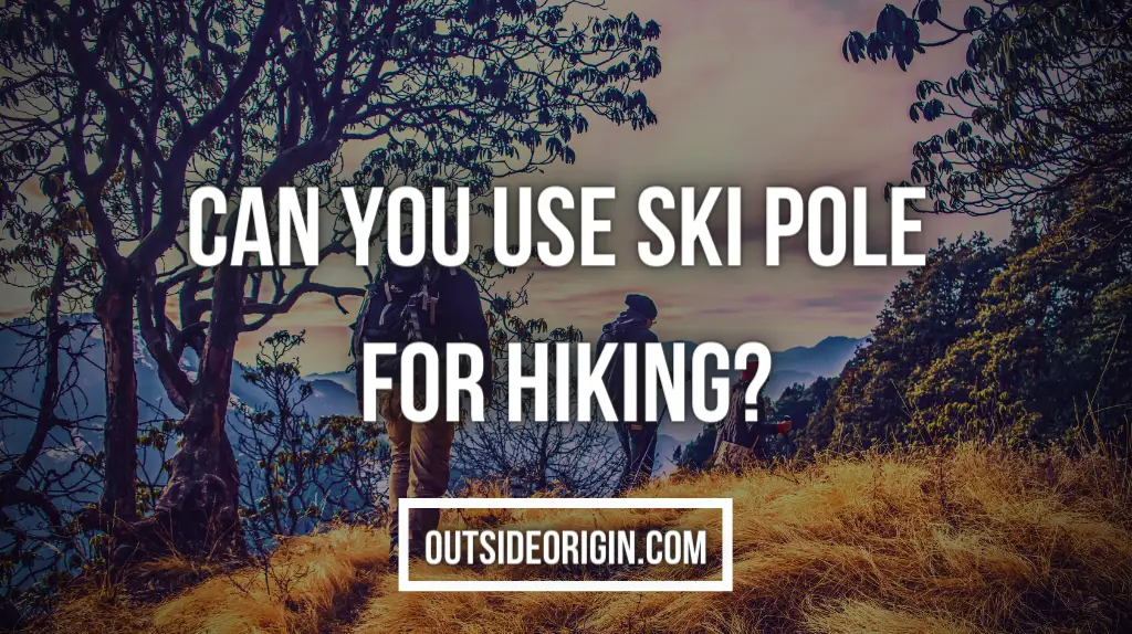 Can You Use Ski Pole for Hiking