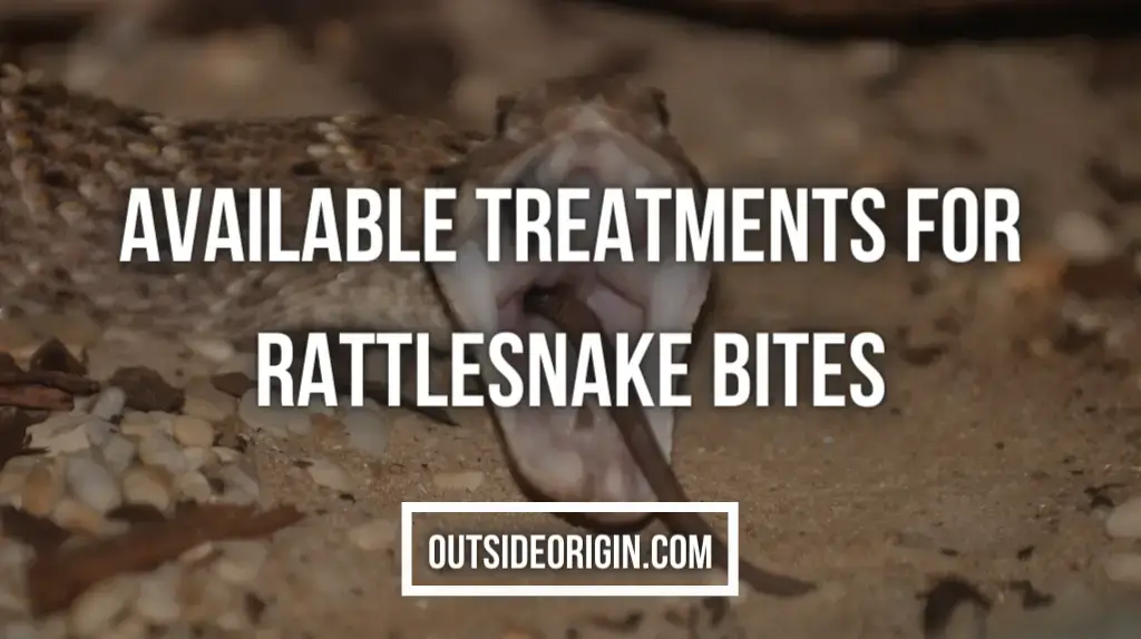 Available Treatments For Rattlesnake Bites