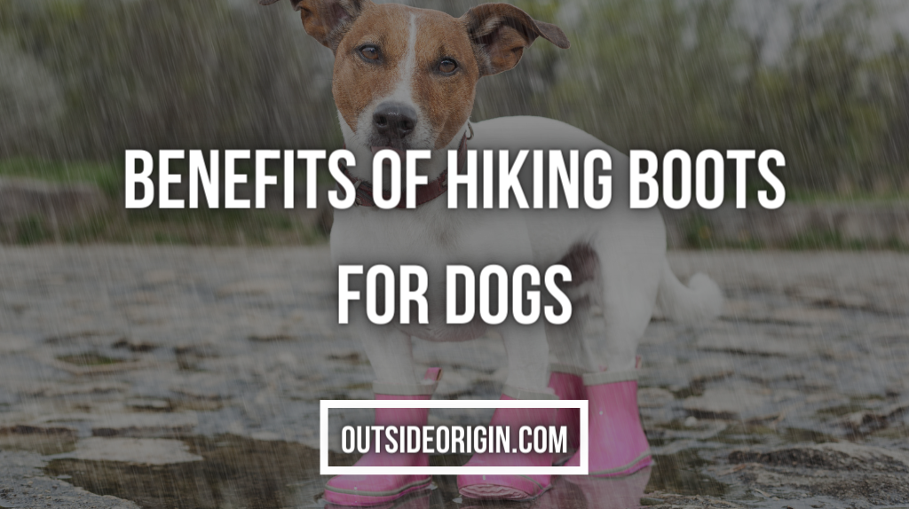 Benefits Of Hiking Boots For Dogs