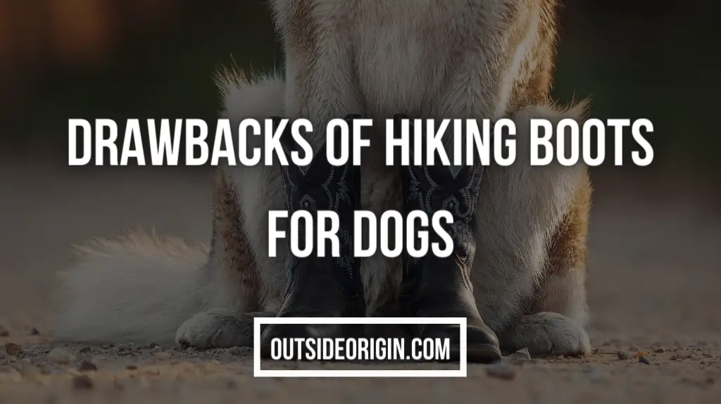 Drawbacks Of Hiking Boots For Dogs