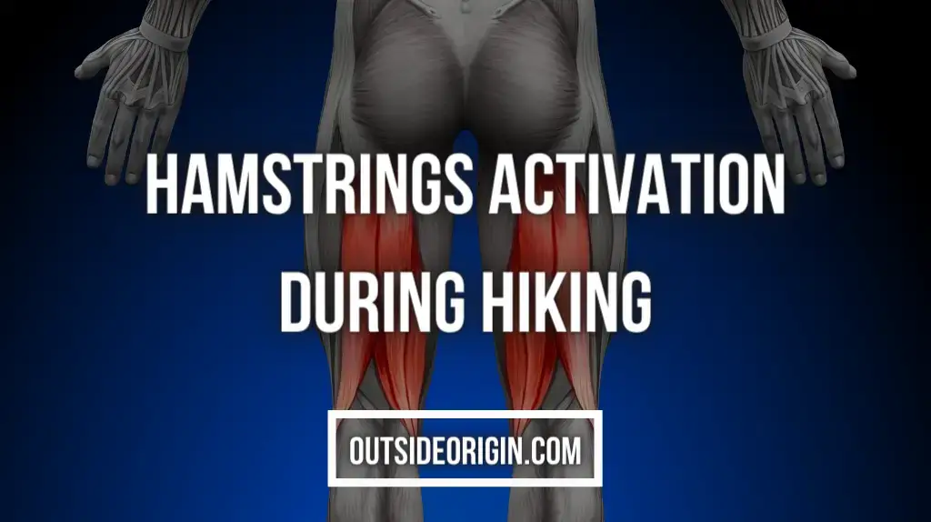 Hamstring Activation During Hiking