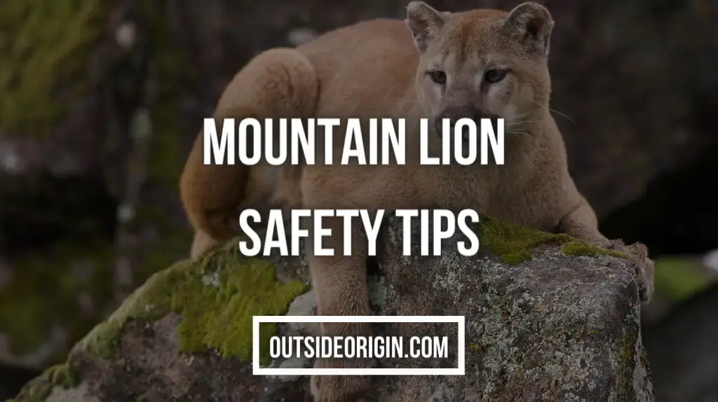 Mountain Lion Safety Tips