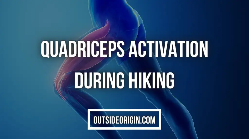 quadriceps activation during hiking