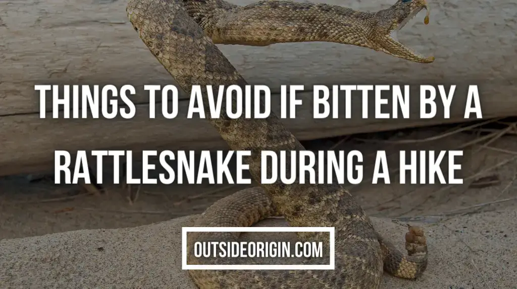 Things To Avoid If Bitten By A Rattlesnake During A Hike
