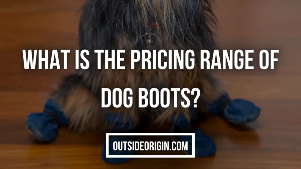 What Is The Pricing Range Of Dog Boots