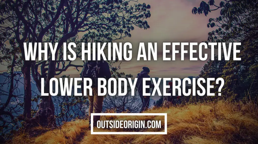 Why Is Hiking Quite An Effective Lower Body Exercise