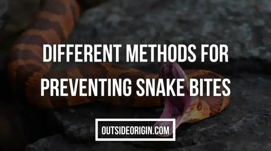 Different Methods For Preventing Snake Bites